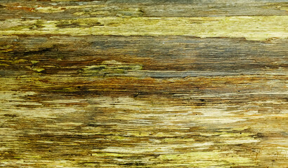 Close up old wooden plank, textured surface in natural tones.