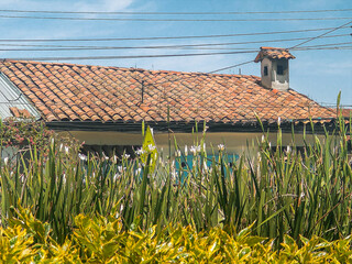 Beautiful flowers with a colonial house in the background in the main park of Bosa, in Bogotá –...