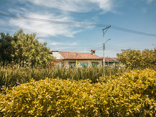 Beautiful flowers with a colonial house in the background in the main park of Bosa, in Bogotá –...
