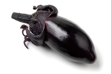 Single fresh purple eggplant isolated on white background close up