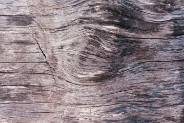A close-up of a piece of wood with a knot in it. The wood is grey and has a rough texture. The...