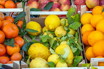Citrus fruits in boxes for sale at a market - 788532346