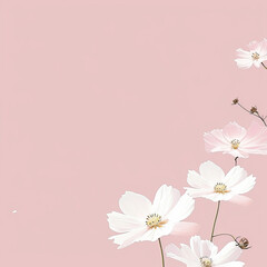 Frame of white flowers on a pink background
