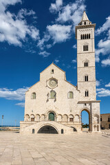 The beautiful cathedral of Trani in Apulia, Italy - 788536115