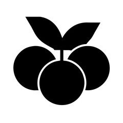 Holly Berries icon vector graphics element silhouette sign symbol illustration on a Transparent Background