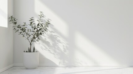  Minimalist White Interior Design with Plant: Clean and Modern Architectural Background