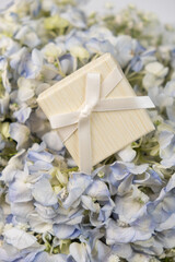 A gift box on a bouquet of hydrangea flowers on a white background - obrazy, fototapety, plakaty