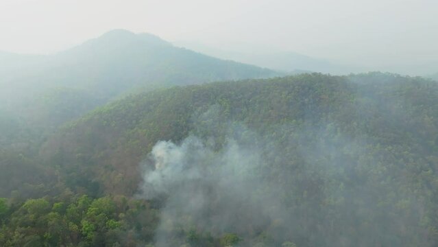 Bushfire caused by hunting  in subtropical forest valley.