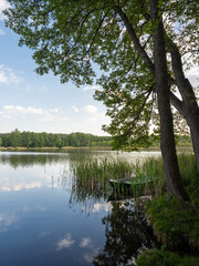 Jezioro w Osiecznej, na pierwszym planie trzcina, drzewo i łódka