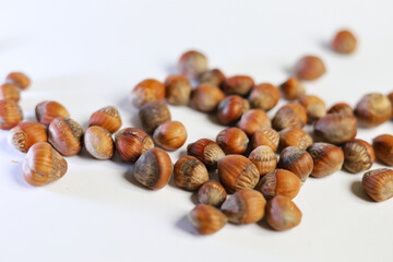 stack of hazelnuts on white background