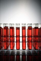 Glass test tubes placed in a laboratory rack with red liquid