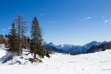Dolomites landscape in Alleghe area, Italian alps