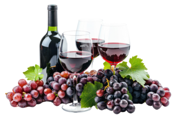 Grape juice ready to drink
isolated on white background