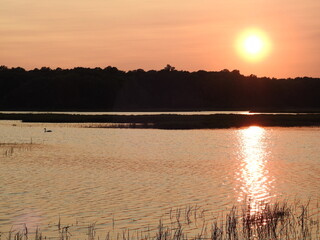 A vibrant, fiery sunset over the marsh. Bombay Hook National Wildlife Refuge, Kent County, Delaware.