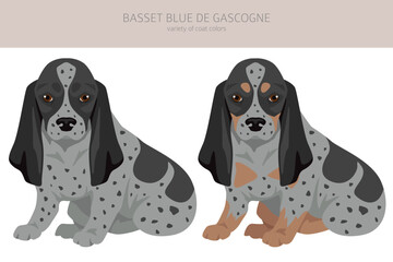 Basset Blue de Gascogne  all colours puppy clipart. Different coat colors and poses set