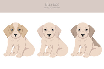 Billy dog puppy clipart. Different coat colors and poses set - 788567568