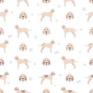 Billy dog seamless pattern. Different coat colors and poses set