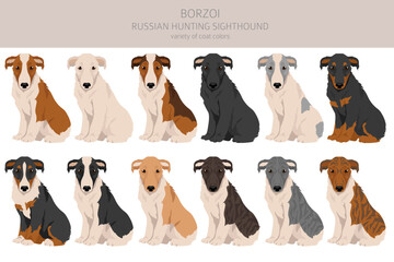 Russian hunting sighthound Borzoi puppy clipart. Different coat colors and poses set