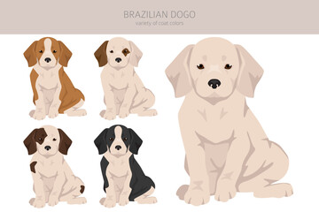 Brazilian Dogo puppy clipart. Different coat colors and poses set - 788568106