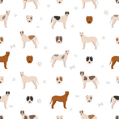 Bully Kutta seamless pattern. Different coat colors and poses set - 788568306