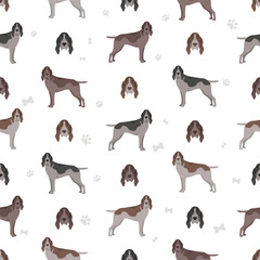 Burgos Pointer seamless pattern. Different coat colors and poses set - 788568344