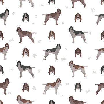 Burgos Pointer seamless pattern. Different coat colors and poses set