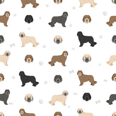 Catalan Sheepdog seamless pattern. Different poses, coat colors set