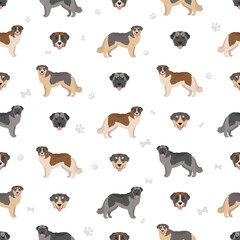Carpathian shepherd dog seamless pattern. Different poses, coat colors set - 788568524