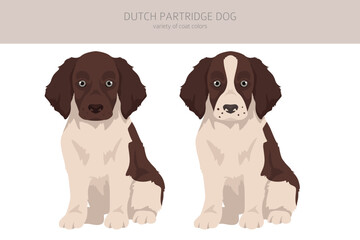 Dutch partridge dog puppy clipart. Different poses, coat colors set