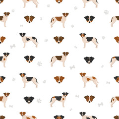 Danish swedish farmdog seamless pattern. Different poses, coat colors set - 788568947