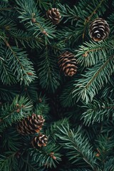 Close up of pine cones on a tree, perfect for nature backgrounds