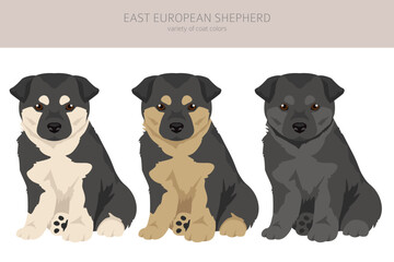 East european shepherd puppies clipart. Different coat colors set - 788569168