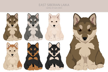 East siberian laika puppy clipart. Different coat colors set - 788569181