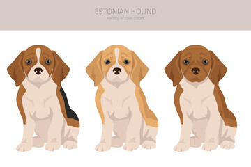 Estonian Hound puppy clipart. Different coat colors set - 788569336