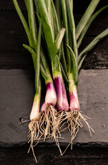 Fresh green onions