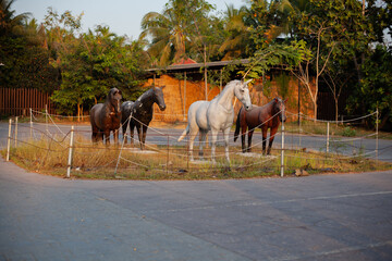 Horse Monuments