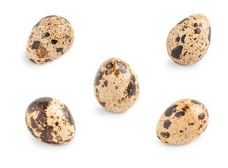 Set or collection of whole uncooked raw quail eggs of oval shape with brown spots and speckles isolated on white background used as healthy ingredient in culinary full of protein for breakfast meal