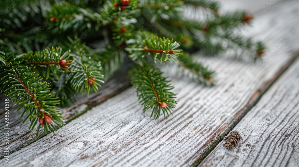 Poster a detailed close up of a pine tree on a rustic wooden table. perfect for nature-themed designs