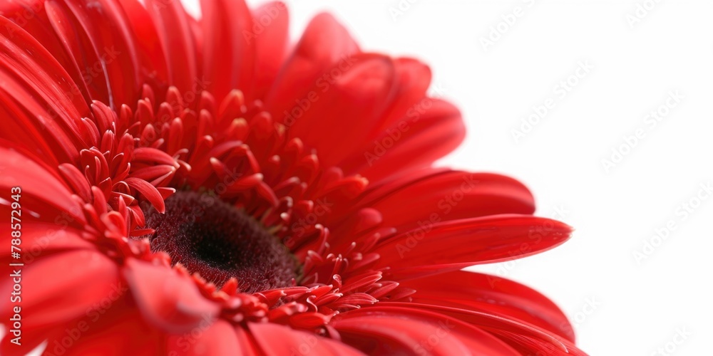 Poster Close up of a vibrant red flower, perfect for adding a pop of color to any project
