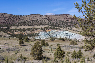 Patch of blue geological rocks in the Ochoco National Forest in Oregon