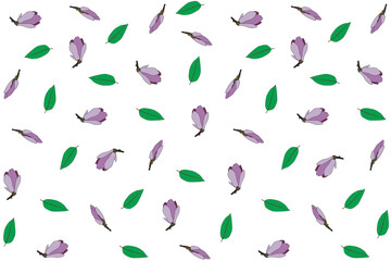 Illustration pattern of verbanica saucer magnolia flower with leaf on white background.