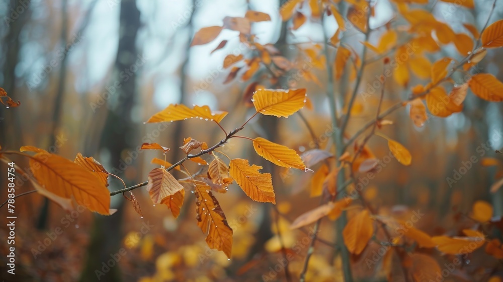 Poster close up of a leafy tree in a forest, perfect for nature backgrounds