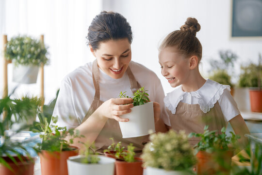 Family caring for plants