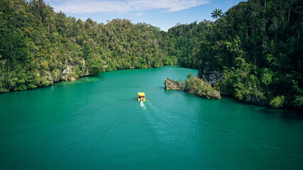 Adventure, tropical and island or lagoon by boat in Tahiti in outdoors with water, trees and jungle...