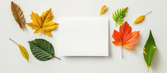 Artistic arrangement composed of leaves alongside a white paper card. Flat view. Ample room for textual content. - obrazy, fototapety, plakaty