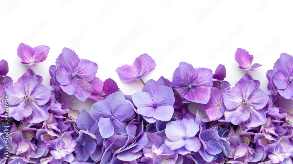 Canvas Prints Detailed close up of a bunch of purple flowers, ideal for botanical and nature themes