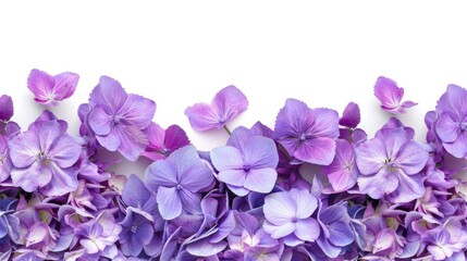 Detailed close up of a bunch of purple flowers, ideal for botanical and nature themes