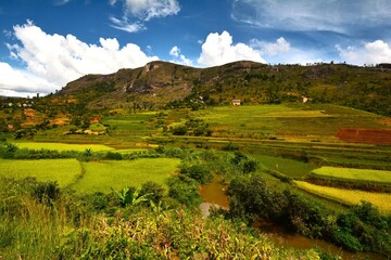 View of the farming landscape with paddy fields in the hilly area of central Madagascar