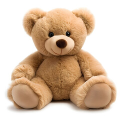 Plush Teddy Bear on White Background