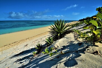 Sunny day on a sandy beach in Anakao (35 km south of Toliara, southwest coast of Madagascar)